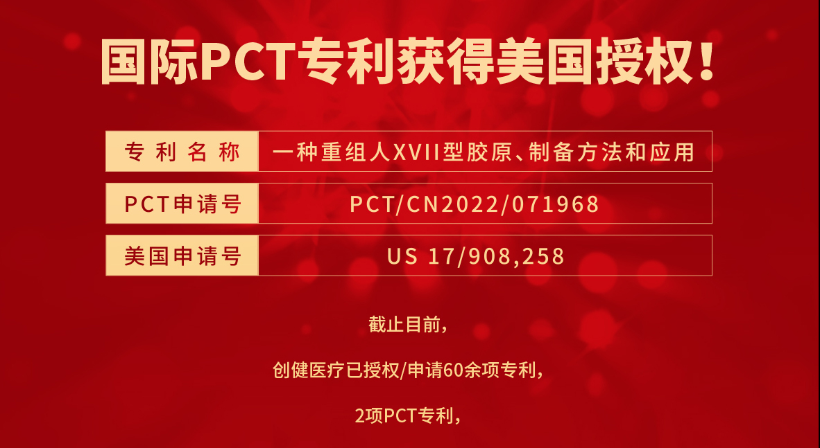 喜訊 | 成功獲得美國授權(quán)，又一張PCT專利收入囊中！
